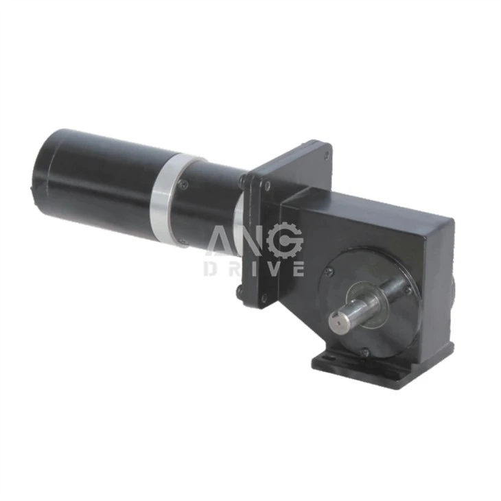 bldc worm gear motor
