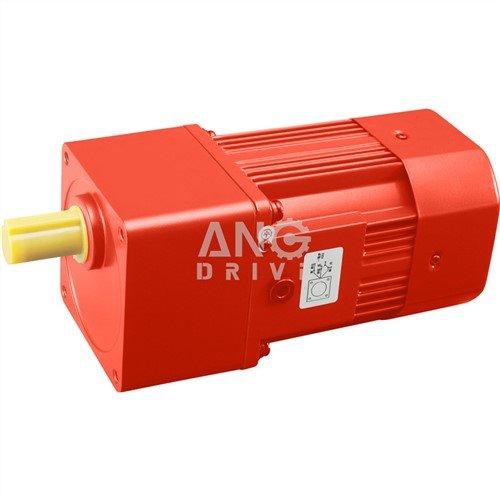 Moteur à engrenages 220v
