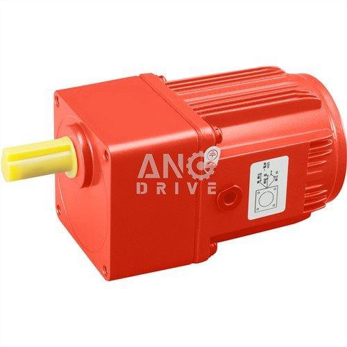 Moteur à induction avec boîte de vitesses
