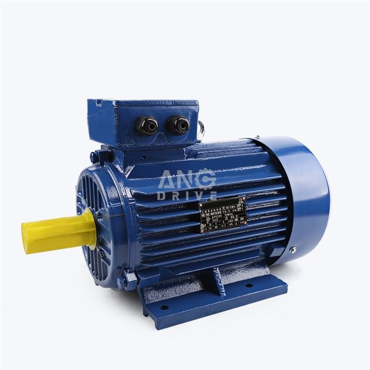 220KW Motor
