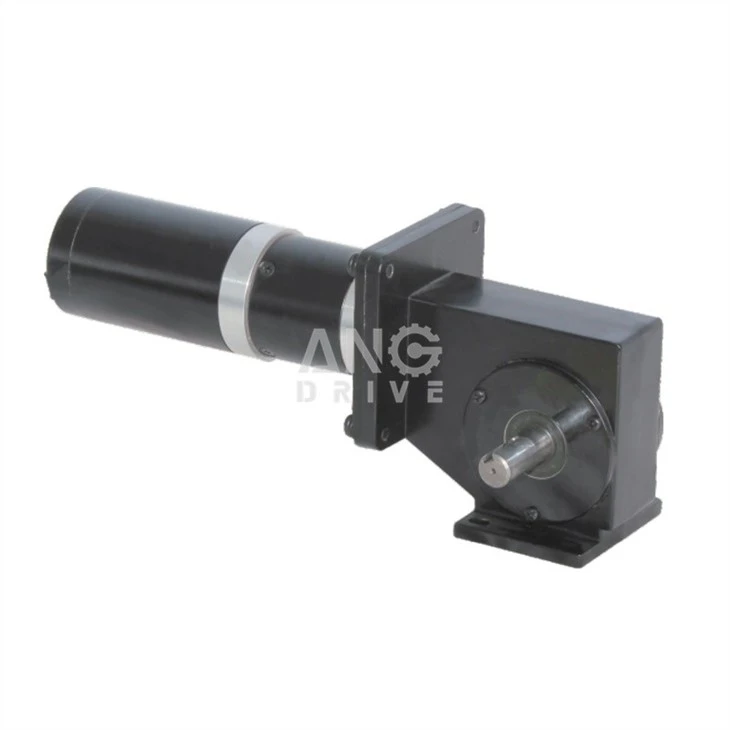 brushless low rpm motor