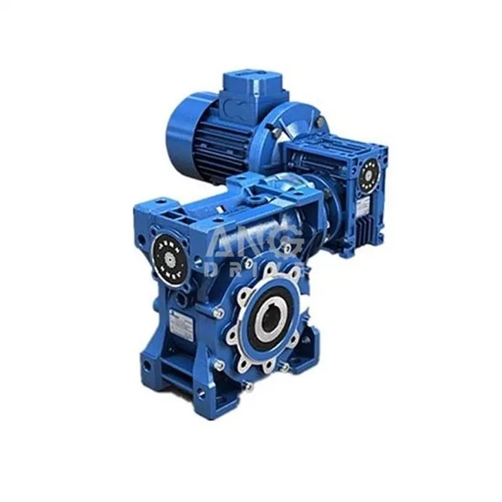 Double Worm Gearmotor