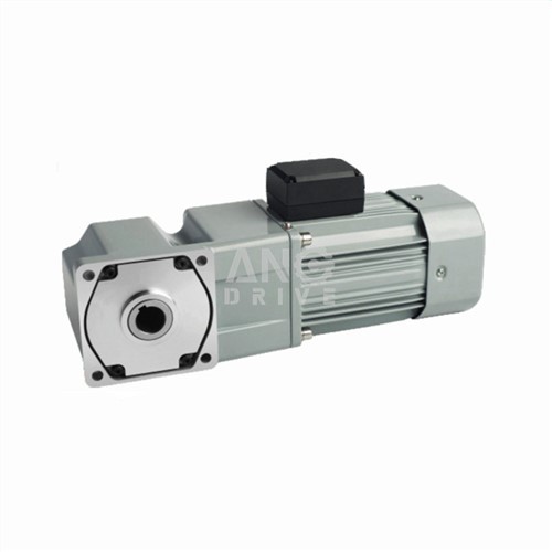 AC Angle droit Gearmotor