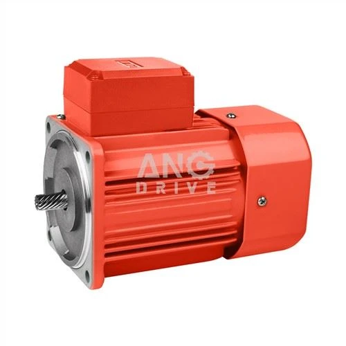 Petit moteur électrique à courant alternatif
