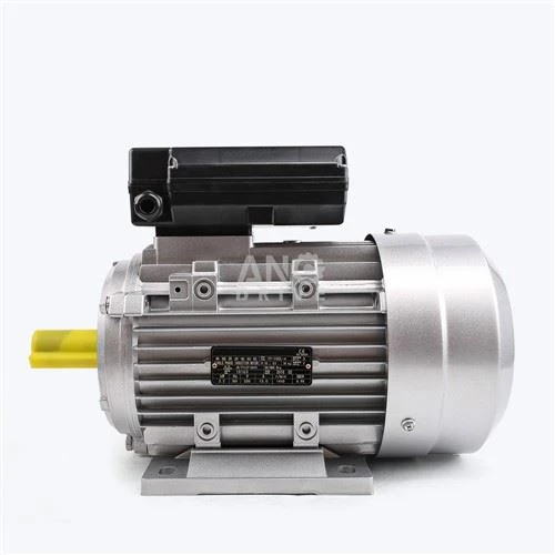 Moteur électrique série YL